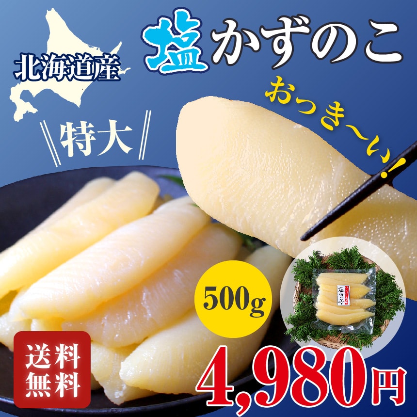 北海道産 特大 塩数の子 500ｇ かずのこ カズノコ 希少 国産 やまに かずのこ ざこばの朝市 公式オンラインショップ