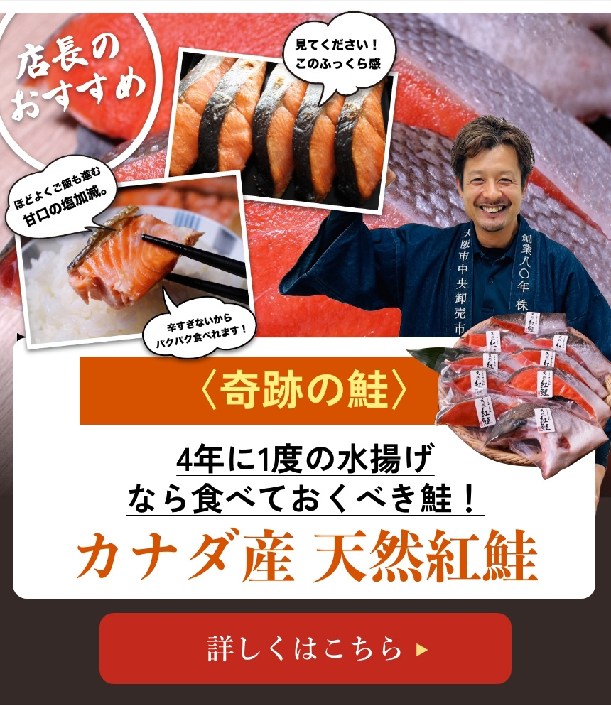 鮭（さけ・しゃけ）・サーモン専門店,ざこばの朝市 公式オンラインショップで旬の魚をお取り寄せ 店長のおすすめ 奇跡の鮭 カナダ産天然紅鮭