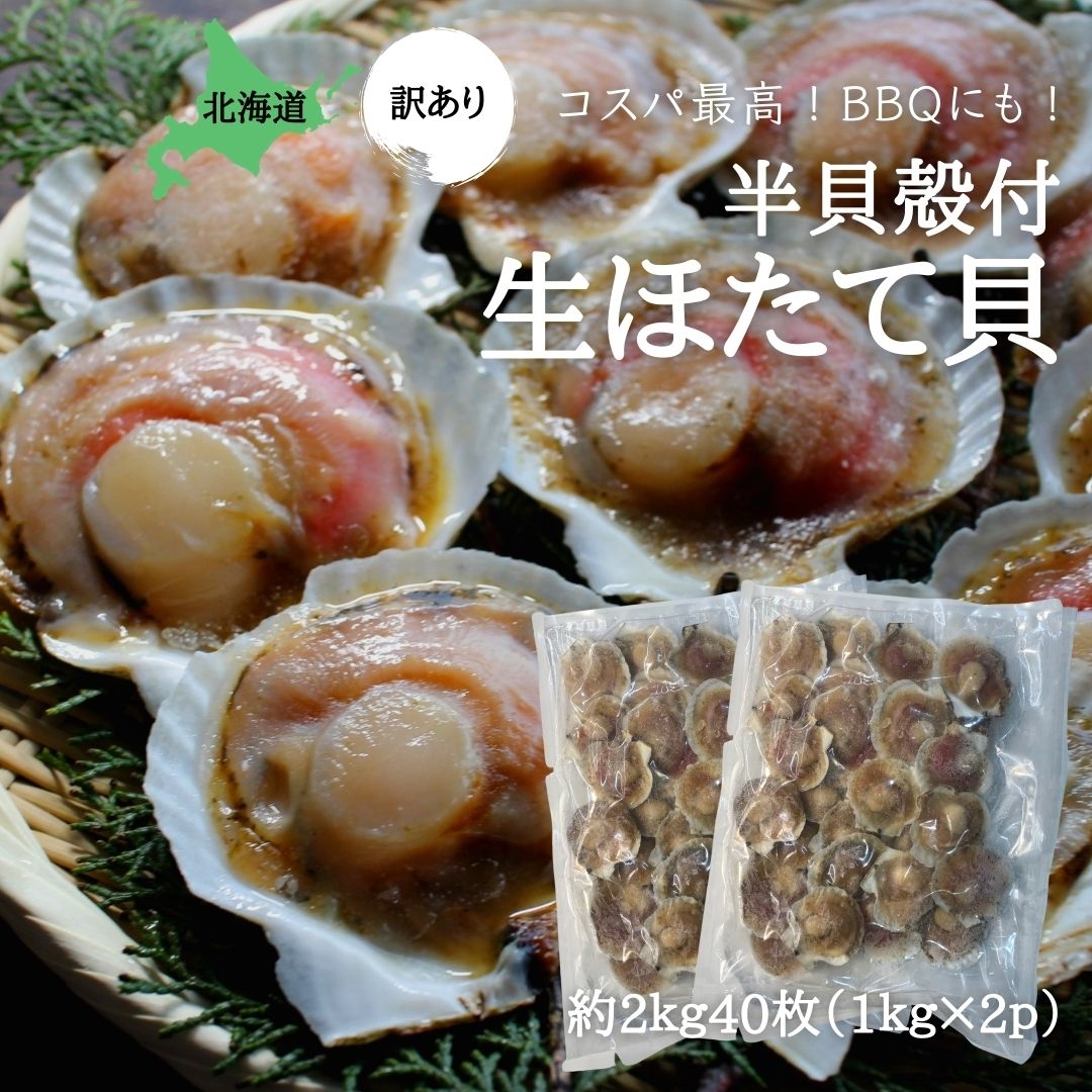 訳あり 殻付き生ほたて 片貝付き ２ｋ 約40枚 北海道産 冷凍 送料無料 ホタテ 帆立 びっくり市 ざこばの朝市 公式オンラインショップ