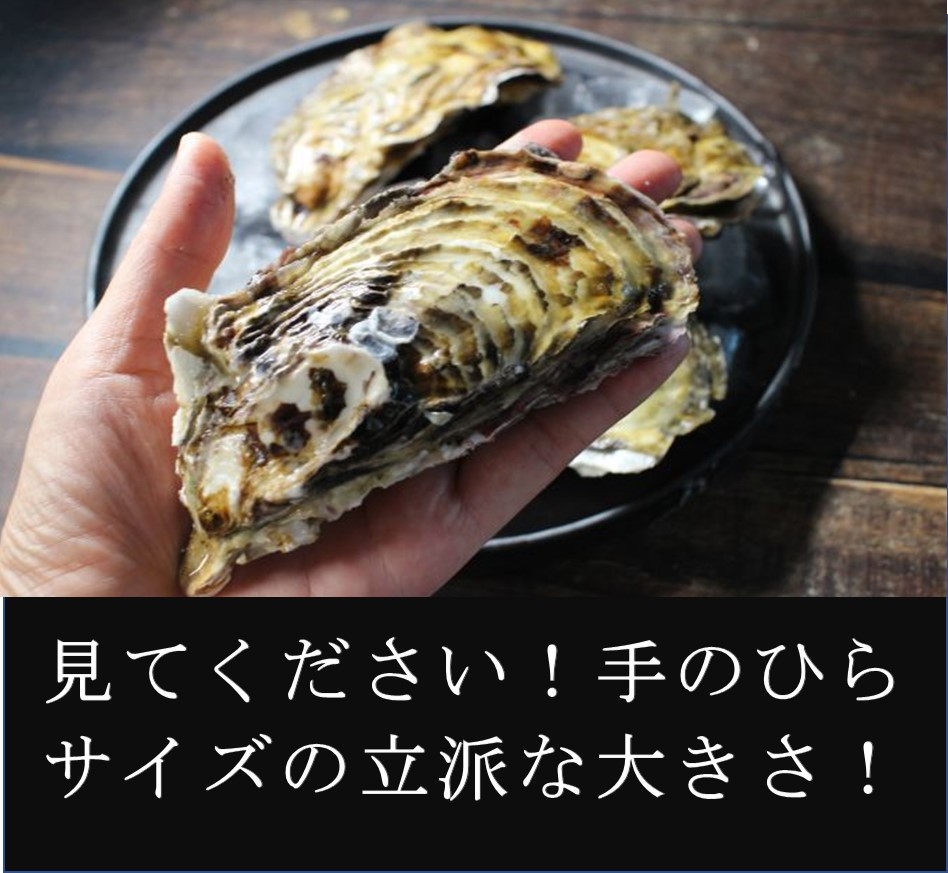 カキのガンガン焼き BBQ ４人前