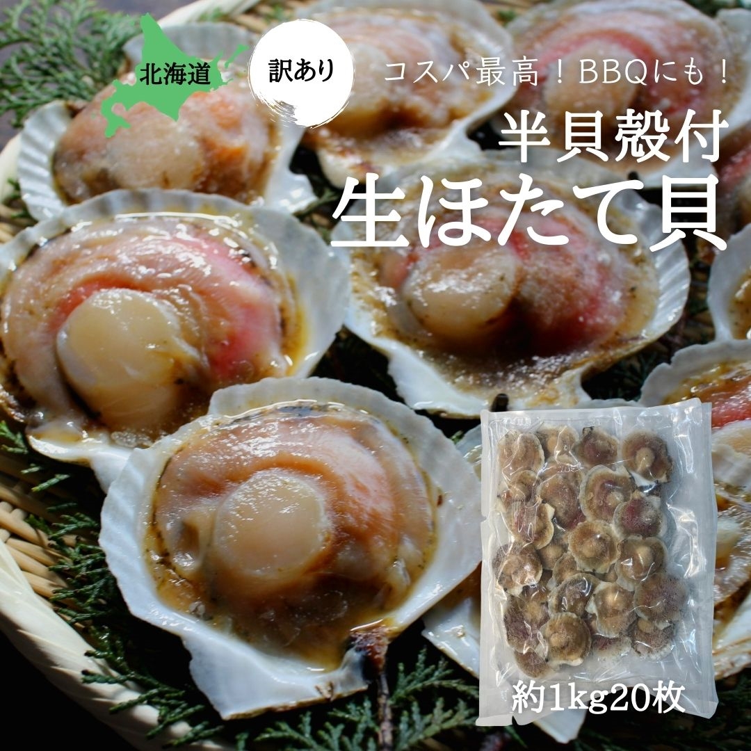 訳あり 殻付き生ほたて 片貝付き 1ｋ 約枚 北海道産 冷凍 ホタテ 帆立 国産 ざこばの朝市 公式オンラインショップ